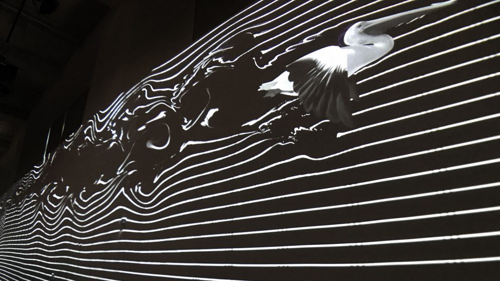 SuperUber — My Porto Maravilha Exhibition